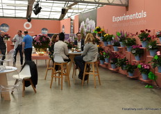 People having a chat and a cop of coffee.